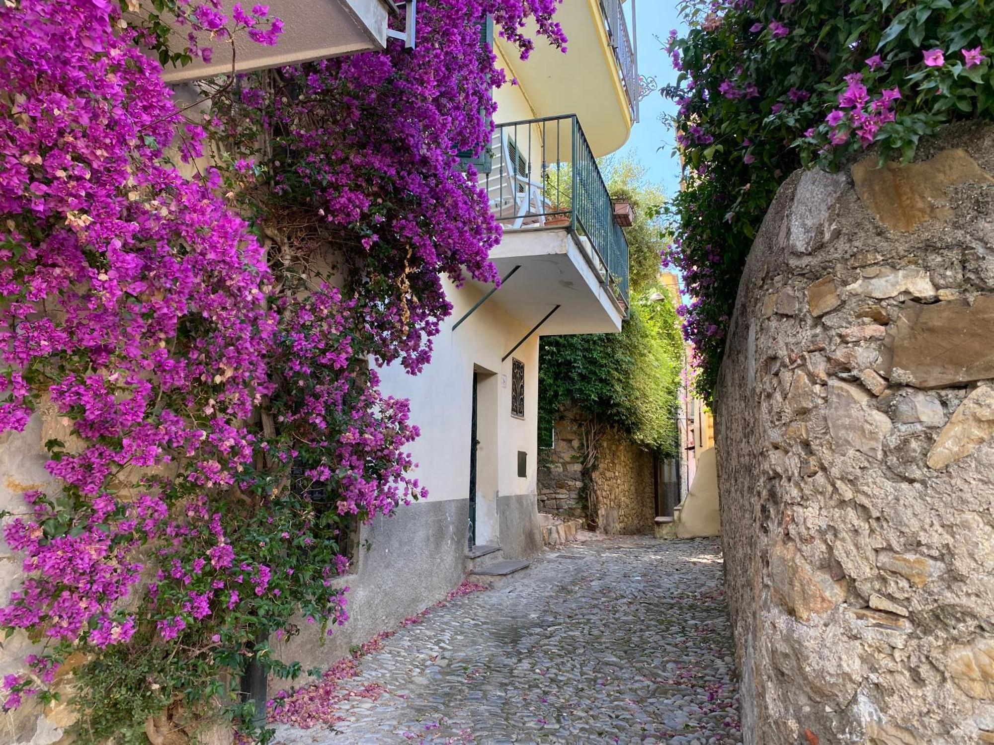 Bed and Breakfast La Finestra Sul Borgo à Cervo Extérieur photo